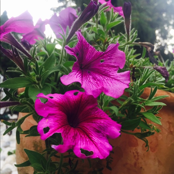 Meet your Posher, Halina - Picture 13 of 16